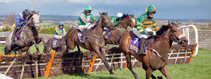 wexford horse racing